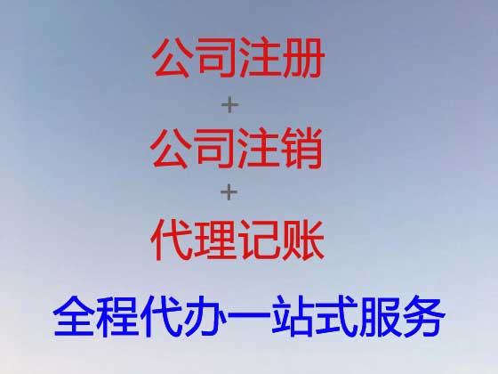 南充公司注册-财务代理记账